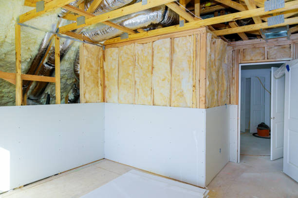 Best Residential Insulation in Sarasota Springs, FL