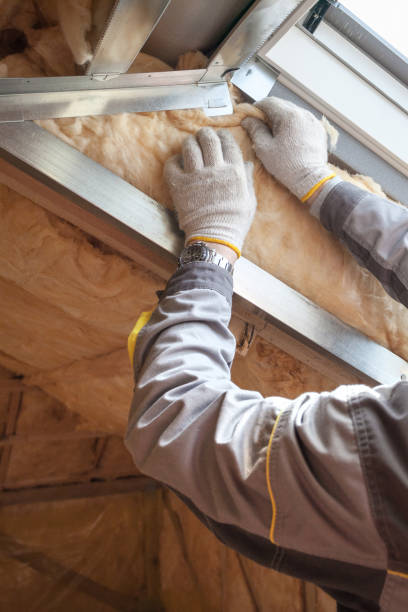 Best Insulation for Specific Applications in Sarasota Springs, FL