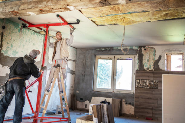 Best Blown-in Insulation in Sarasota Springs, FL