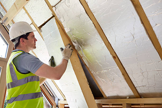 Types of Insulation We Offer in Sarasota Springs, FL